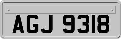AGJ9318