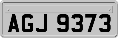 AGJ9373