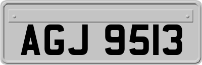 AGJ9513