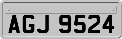 AGJ9524