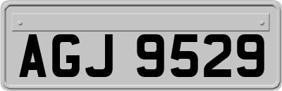 AGJ9529