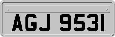 AGJ9531