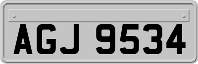 AGJ9534