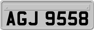 AGJ9558