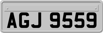 AGJ9559