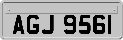 AGJ9561