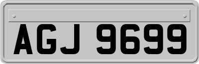 AGJ9699