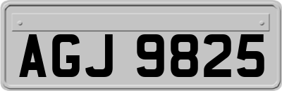 AGJ9825
