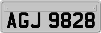 AGJ9828