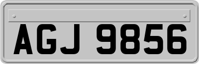 AGJ9856
