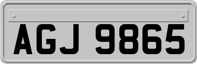 AGJ9865