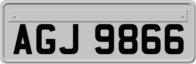 AGJ9866