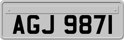 AGJ9871