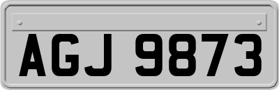 AGJ9873
