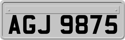 AGJ9875