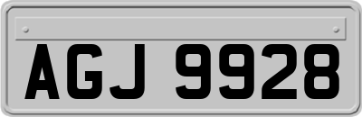 AGJ9928