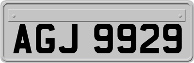AGJ9929
