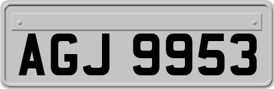 AGJ9953