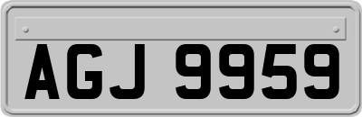 AGJ9959