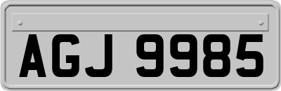 AGJ9985