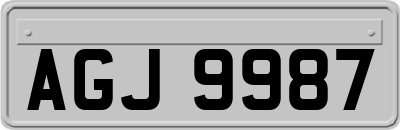 AGJ9987