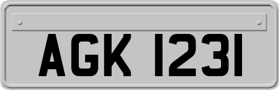 AGK1231