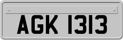 AGK1313