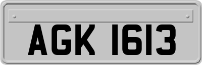 AGK1613