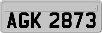 AGK2873