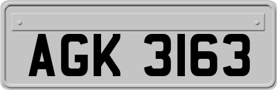 AGK3163