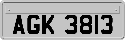 AGK3813