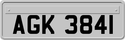 AGK3841