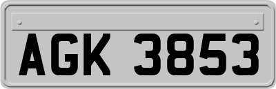 AGK3853