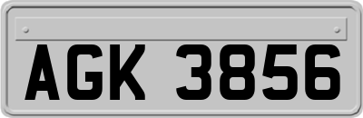 AGK3856