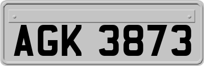 AGK3873