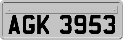AGK3953