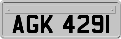 AGK4291
