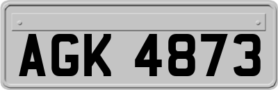 AGK4873