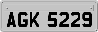 AGK5229