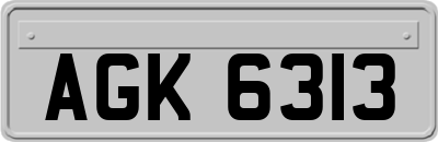 AGK6313