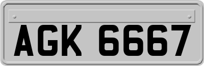 AGK6667