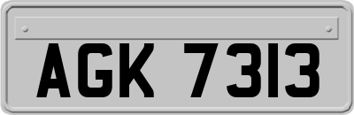 AGK7313
