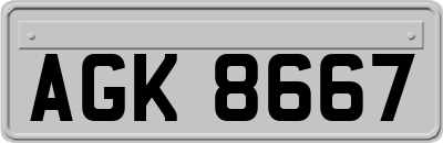 AGK8667