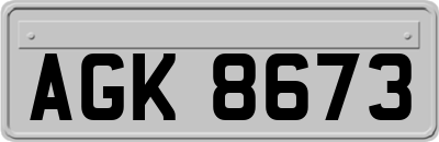 AGK8673