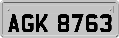AGK8763