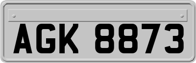 AGK8873