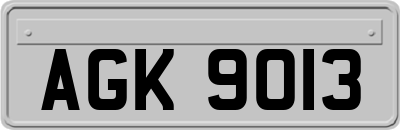 AGK9013
