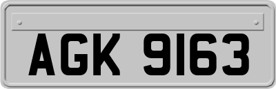 AGK9163