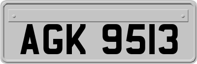 AGK9513
