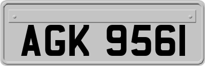 AGK9561